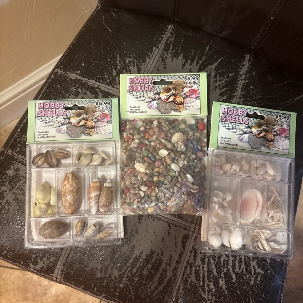 Hobby Shells Seashell Craft Set – 3 New Packs